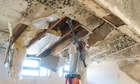 Best Residential Mold Inspection & Testing  in Cookeville, TN